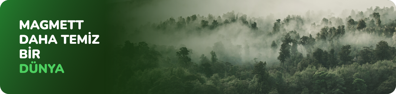MAGMETT