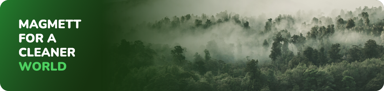 MAGMETT
